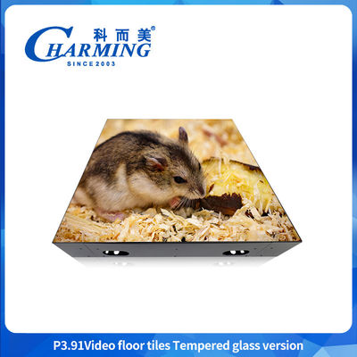 LED Video Dance Floor για συναυλία 3.91mm υψηλής ευκρίνειας οθόνη για ξενοδοχείο γάμου club